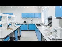 Taller estándar de resina epoxi de la industria china Wenyou